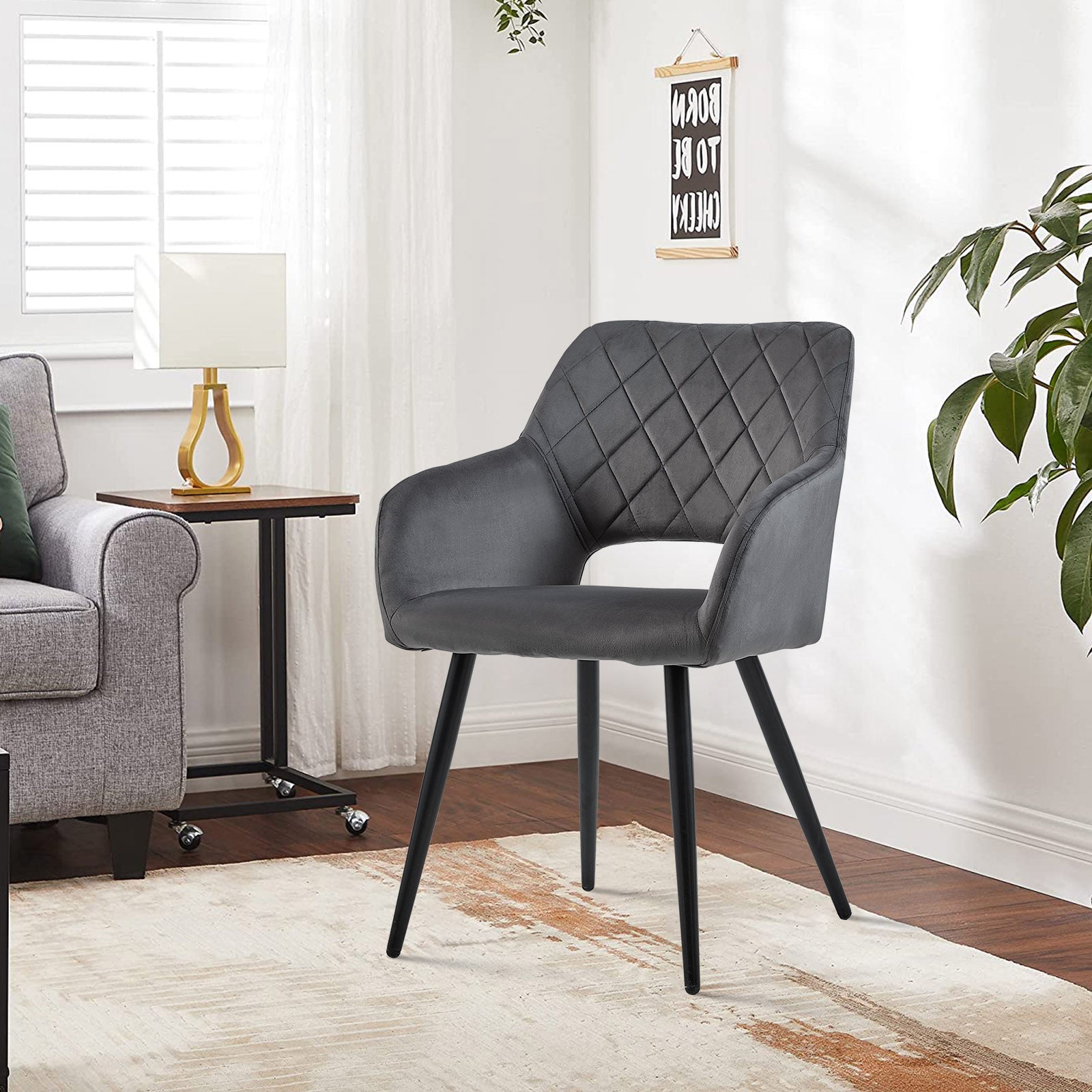Kieran Velvet Dining Chairs [Set of 2]