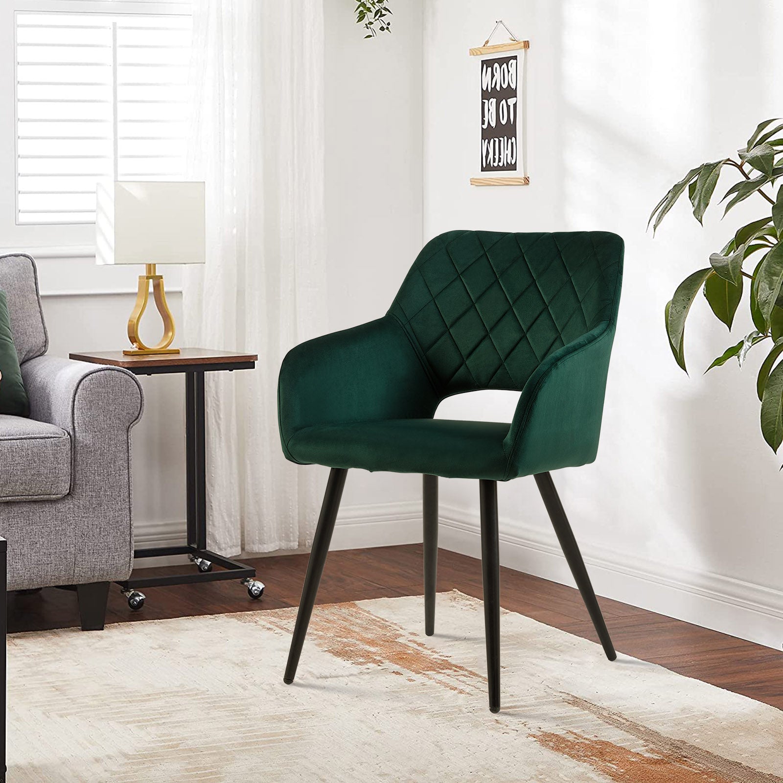 Kieran Velvet Dining Chairs [Set of 2]