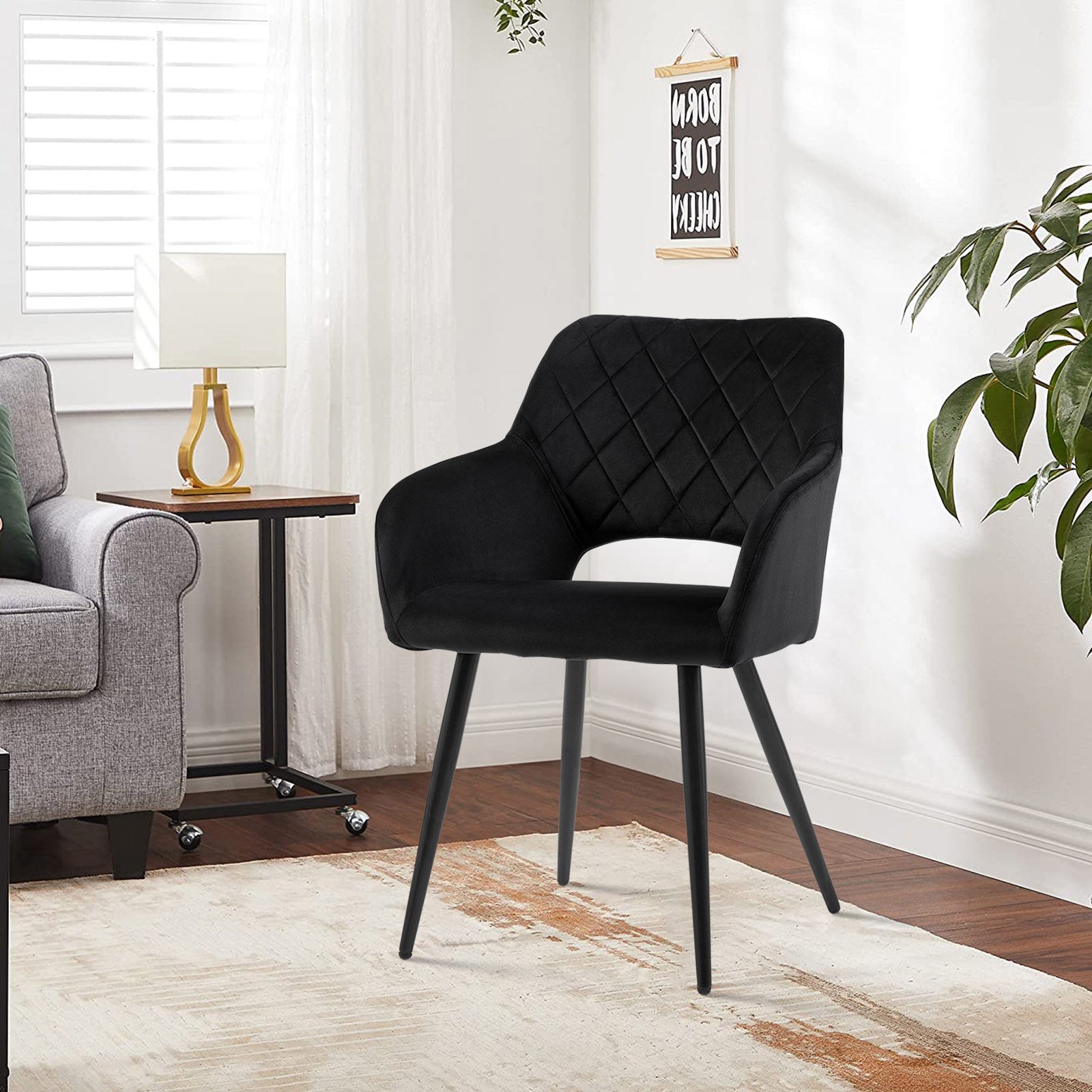 Kieran Velvet Dining Chairs [Set of 2]