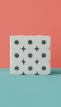 Bulk Paper Towels Pack